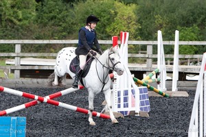 Class 3 -  Fences not above 2'3